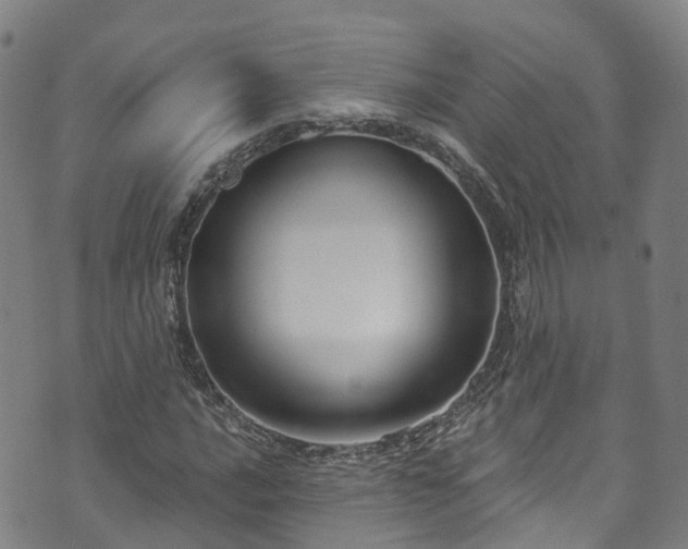 X0000073501016200608071017
