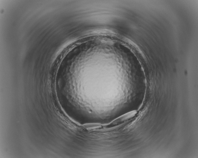 X0000073501019200608071017