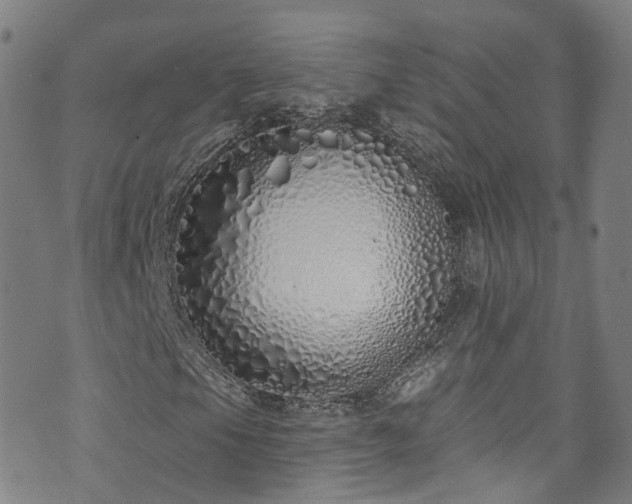 X0000073501105200608071015