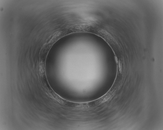 X0000073501107200608071015