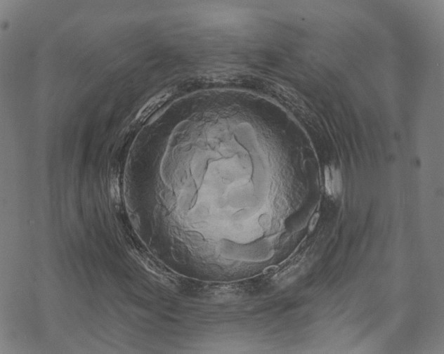 X0000073501155200608071015