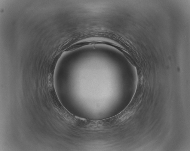 X0000073501156200608071015