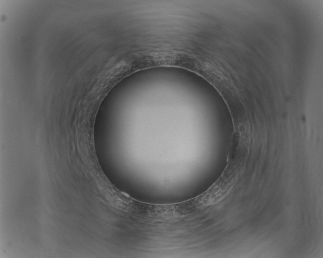 X0000073501249200608071013