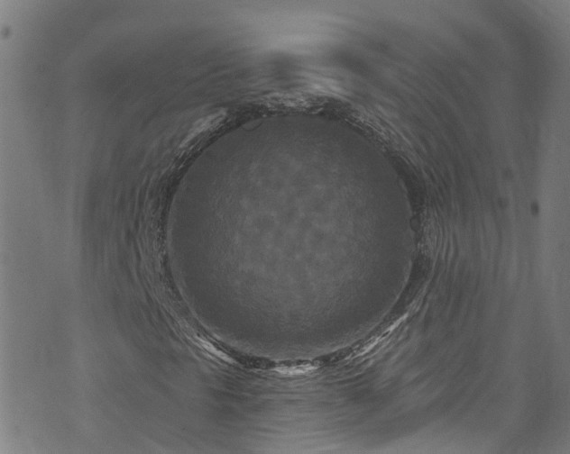 X0000073501297200608071012