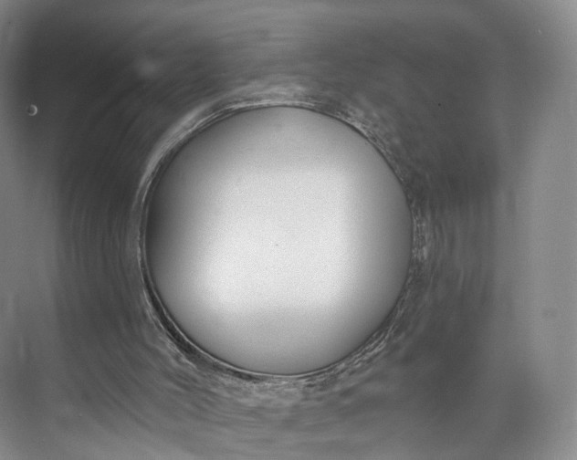 X0000073500004200608140920
