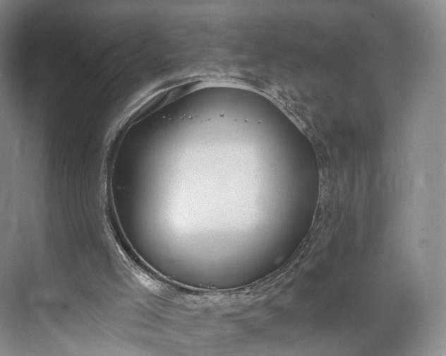 X0000073500005200608140920
