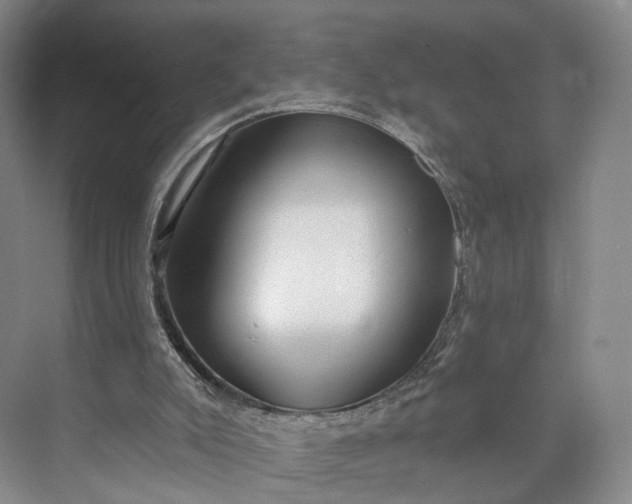 X0000073500007200608140920