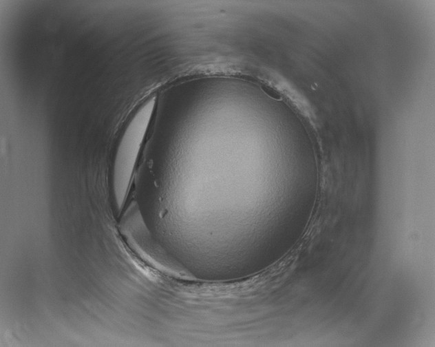 X0000073500009200608140920