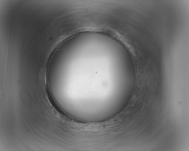 X0000073500011200608140920