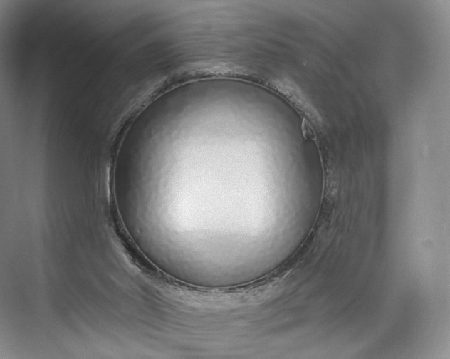 X0000073500014200608140920