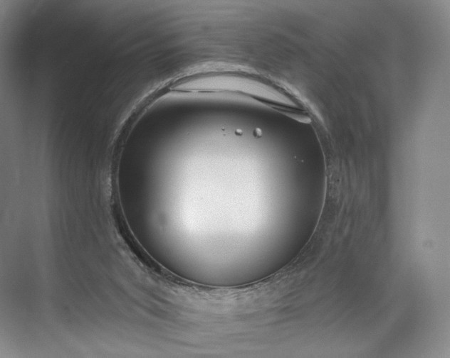 X0000073500015200608140920