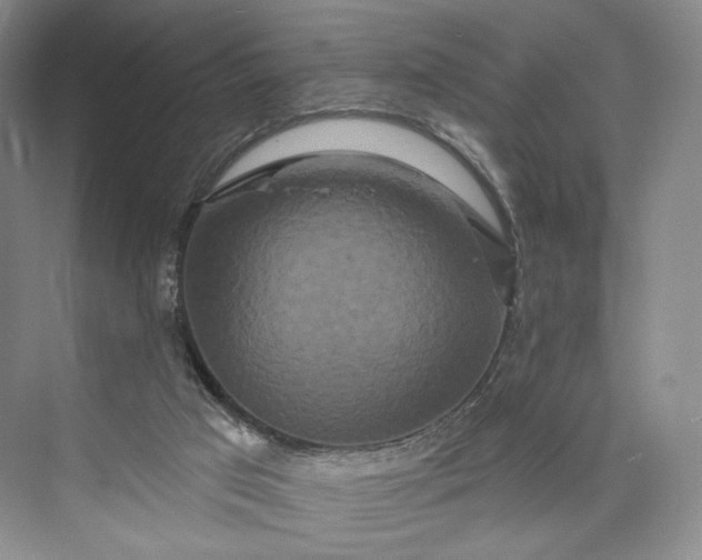 X0000073500017200608140920