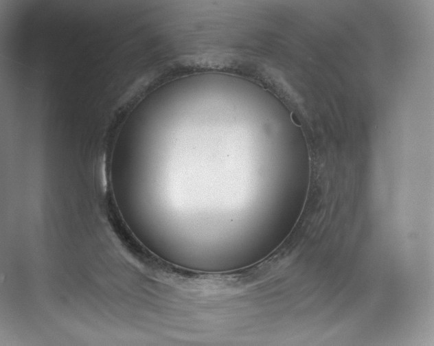 X0000073500020200608140920