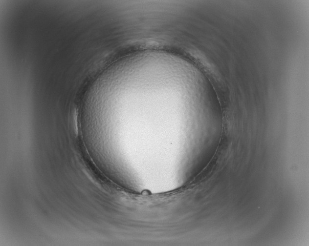 X0000073500022200608140920