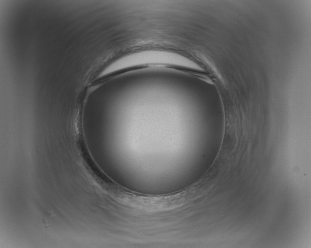 X0000073500023200608140920