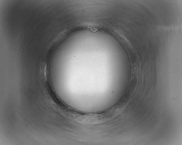 X0000073500024200608140920