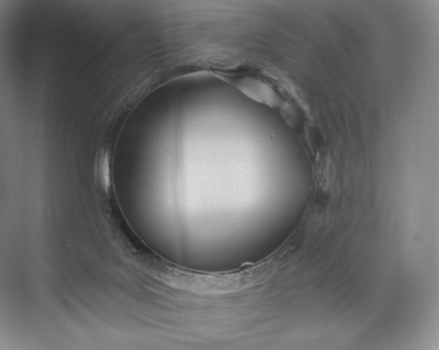 X0000073500027200608140920