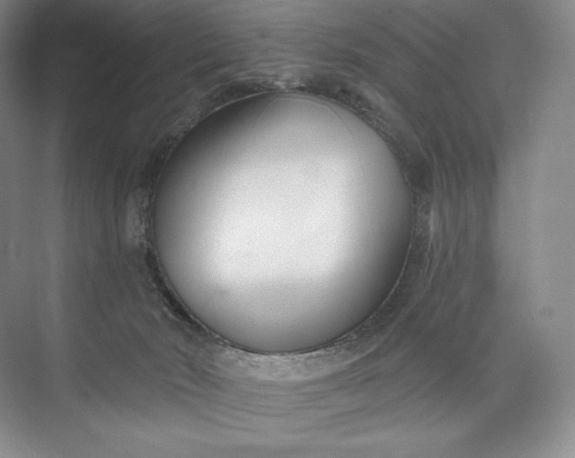 X0000073500030200608140920