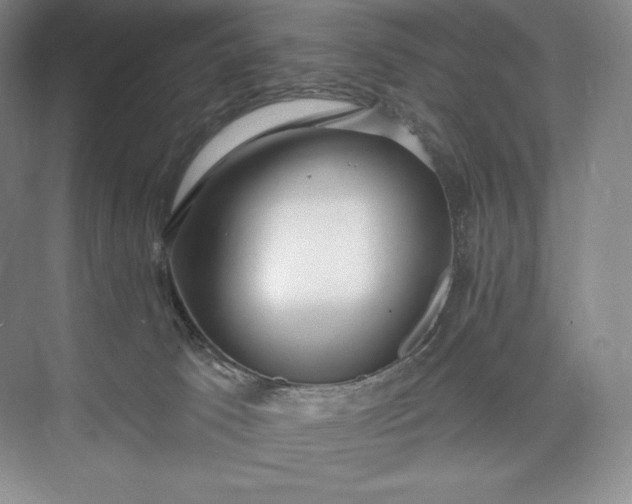 X0000073500033200608140920