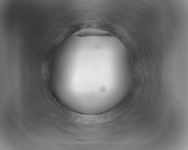 X0000073500034200608140920