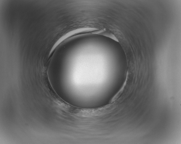 X0000073500037200608140920