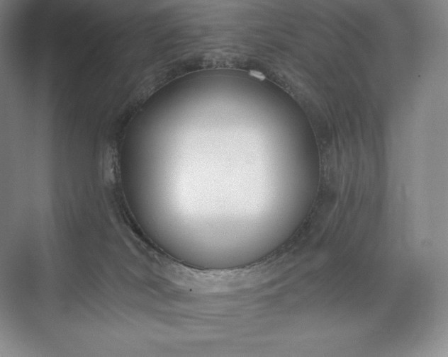 X0000073500038200608140920