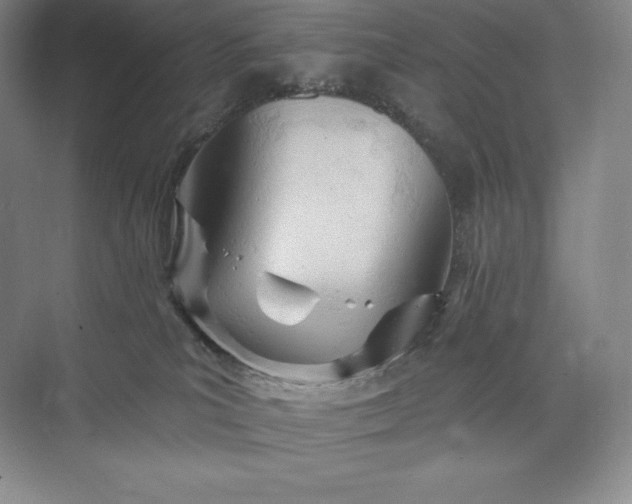 X0000073500039200608140920