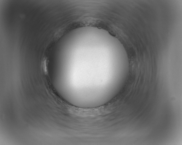 X0000073500042200608140919