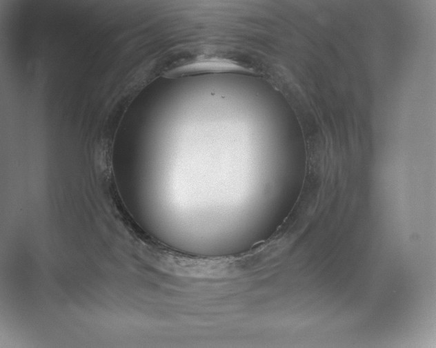 X0000073500044200608140919