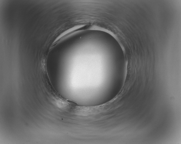 X0000073500045200608140919