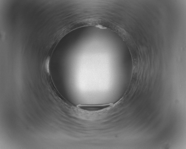 X0000073500047200608140919