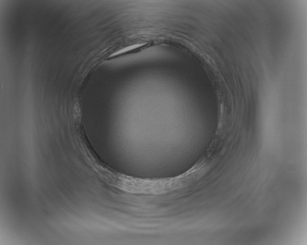 X0000073500048200608140919