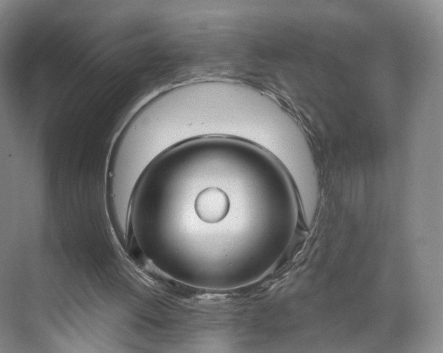 X0000073500052200608140919