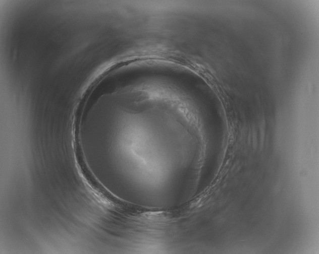 X0000073500054200608140919