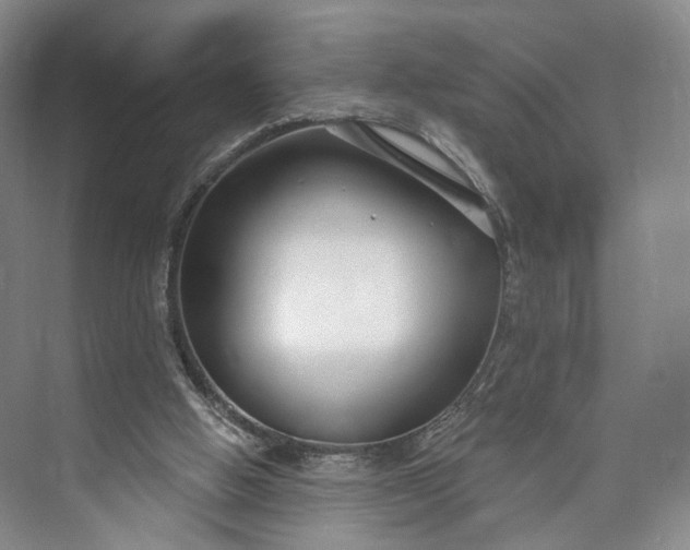 X0000073500058200608140919