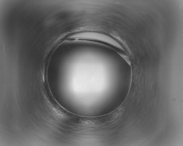 X0000073500062200608140919