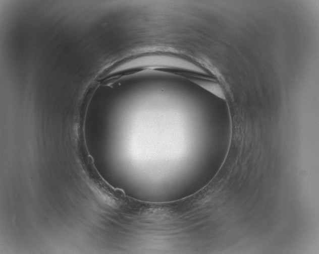 X0000073500063200608140919