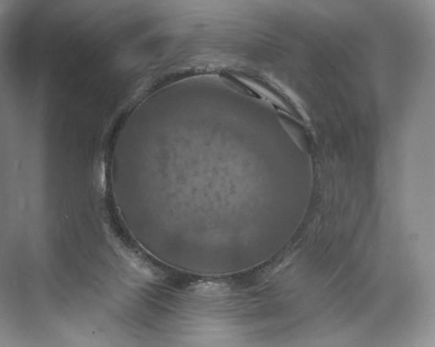 X0000073500067200608140919
