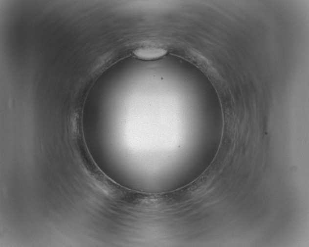 X0000073500071200608140919