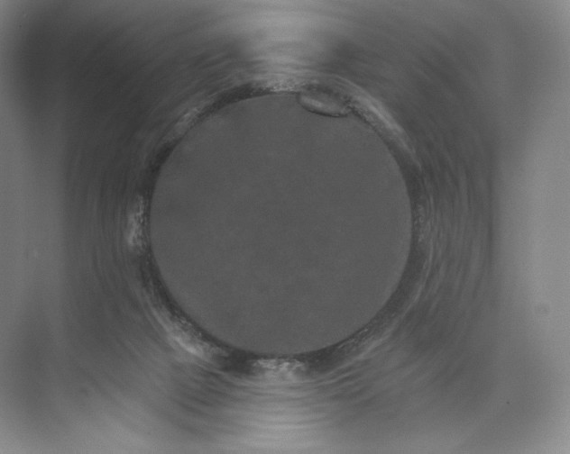 X0000073500073200608140919