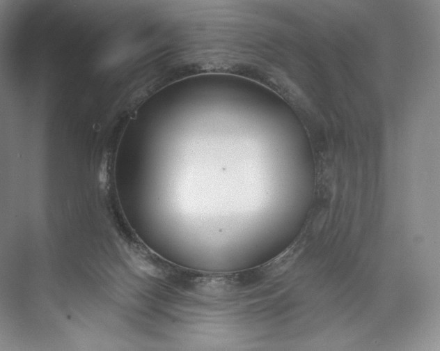 X0000073500074200608140919