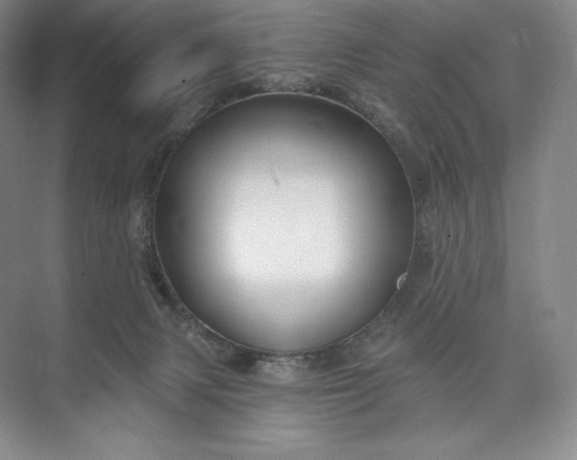 X0000073500079200608140919