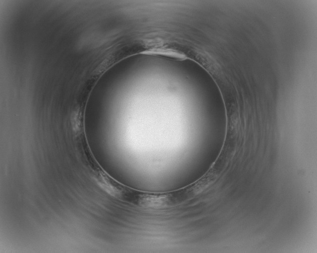 X0000073500081200608140919