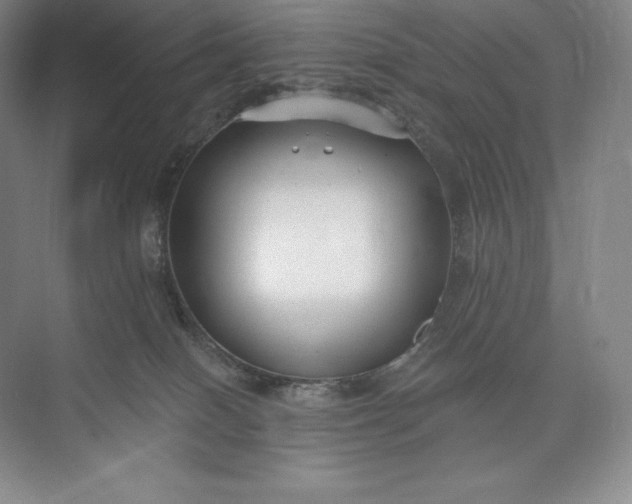 X0000073500086200608140919