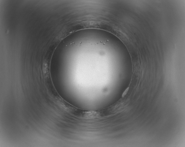 X0000073500087200608140919