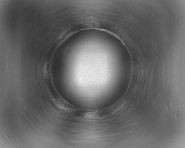 X0000073500088200608140919