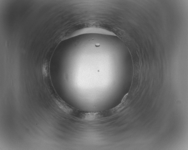 X0000073500090200608140919