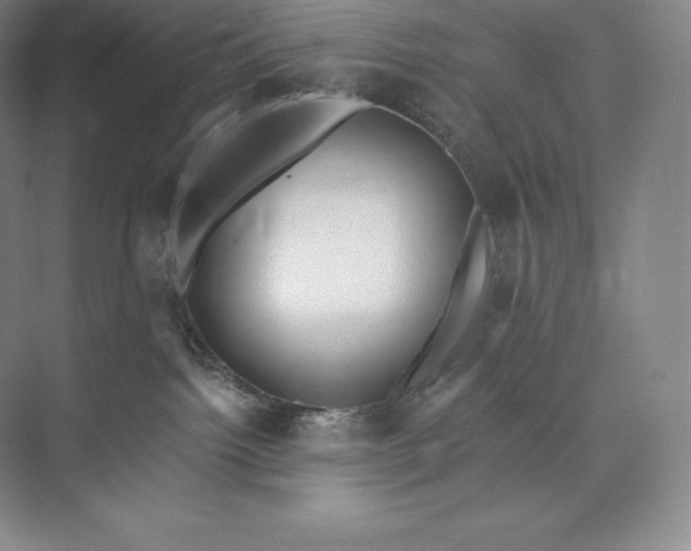 X0000073500092200608140919
