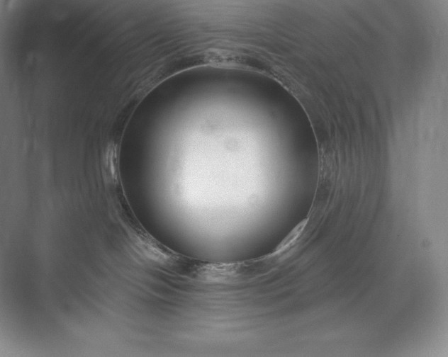 X0000073500094200608140919