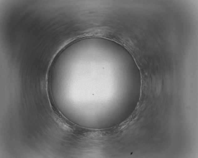 X0000073500100200608140918
